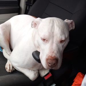 Meet your Posher, Misti